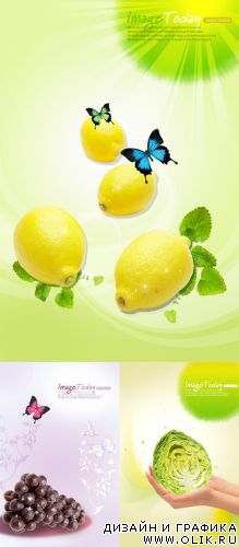 Fruits in psd