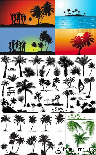 Tropical silhouettes