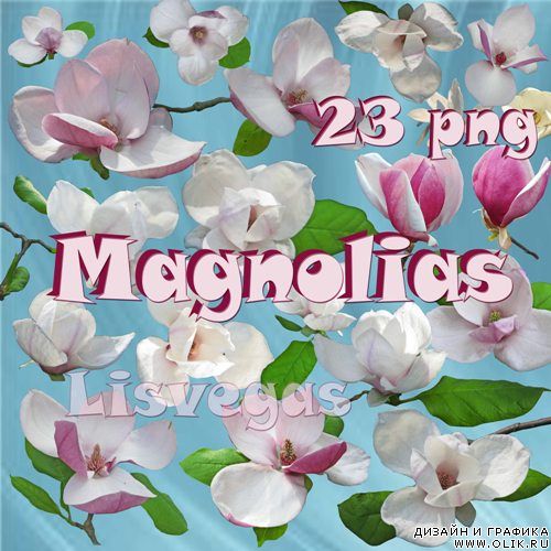 Клипарт – Красивые весенние магнолии (Magnolias)