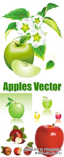 Apples Vector