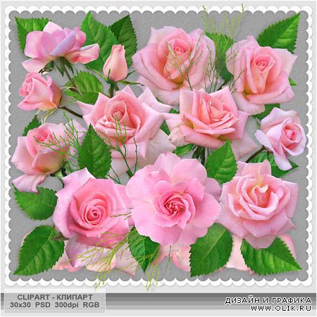 Цветочный клипарт - Розовые розы