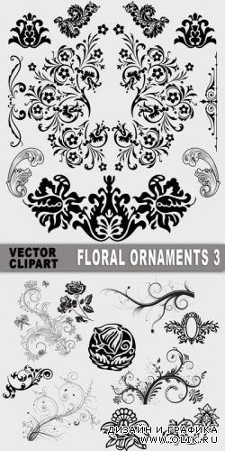 Floral Ornaments 3