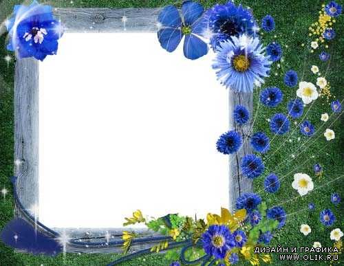 Рамка для фото –  Прекрасные синие васильки