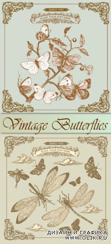 Vintage Butterflies Vector
