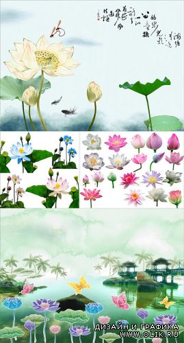 PSD - Lotus illustrations