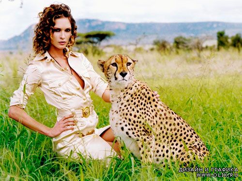 Шаблон женский С леопардом