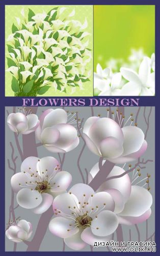 Flowers Design 26