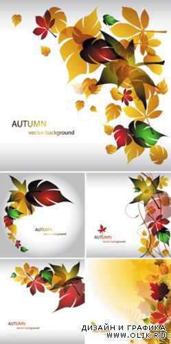 Charming Autumn Leaves
