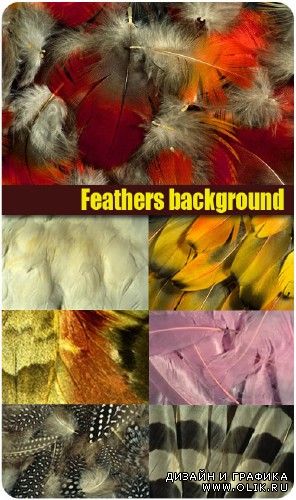 Feathers background | Фон из перьев