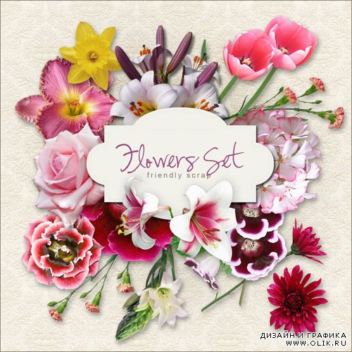 Клипарт – Flowers Set 