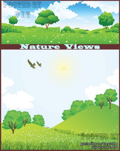 Nature Views 49