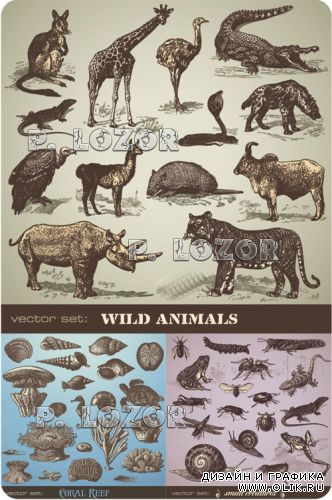 Animals, insects and corral