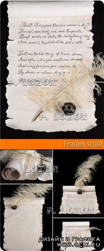 Feather scroll