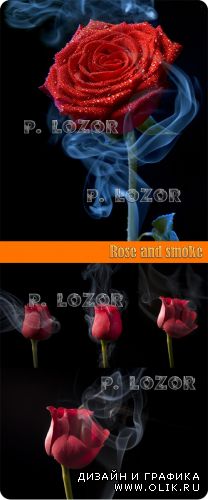 Rose and smoke