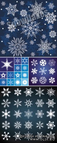 Snowflakes Vector