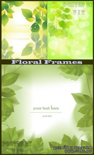 Floral Frames 18