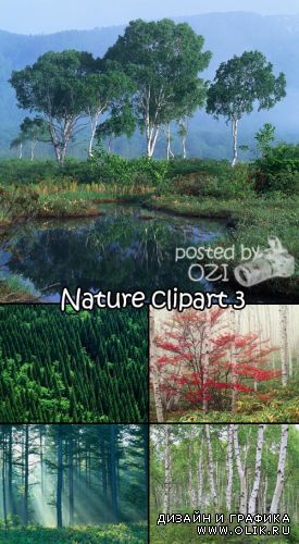 Nature clipart 3