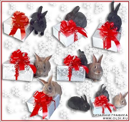 Клипарт – Новогодние Кролики с подарком