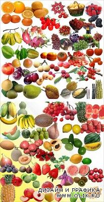 Клипарты различных фруктов PSD