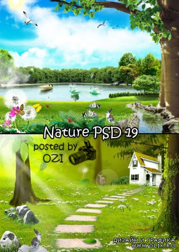 Nature PSD 19