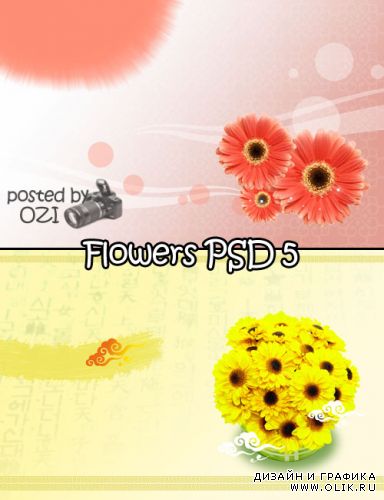 Flowers backgrounds PSD 5