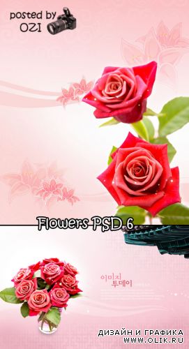 Flowers backgrounds PSD 6