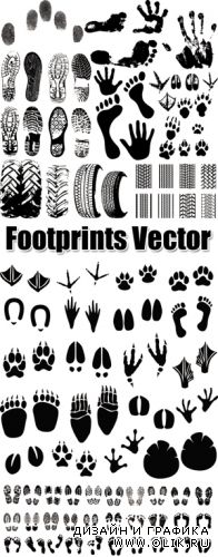 Footprints Vector