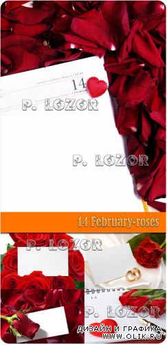 14 February  roses