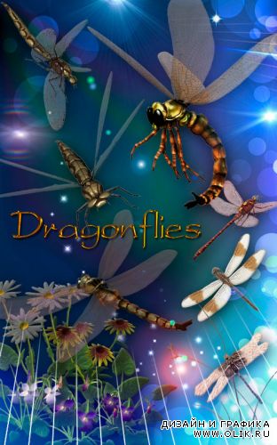Клипарт Dragonfly- Стрекозы