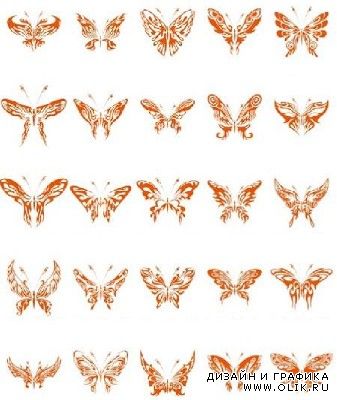Beautiful Butterfly Vector Collection