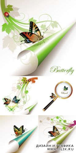 Butterfly Vector 2