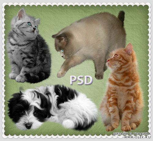 PSD-исходник - Котята и щенок