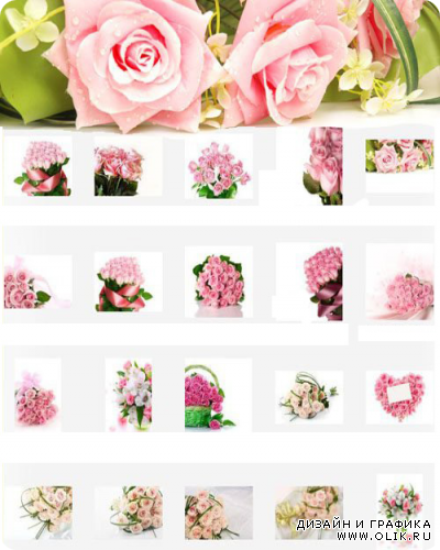 Фоны для Фотошопа - Розовые розы