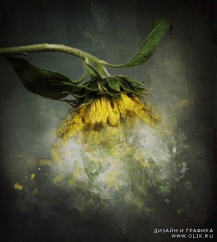 Creative mix: ArtPhotos Creative mix: ArtPhotos