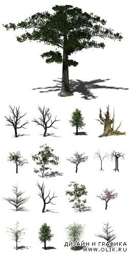 PNG Клипарт - Набор деревьев