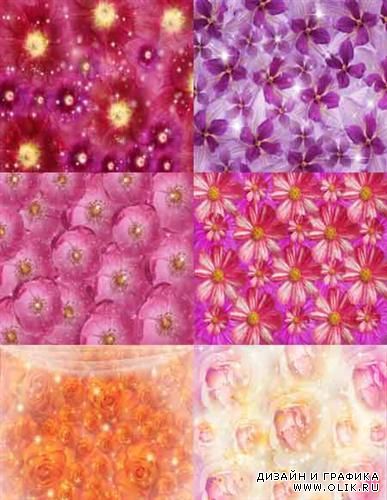 Delicate Floral Backgrounds