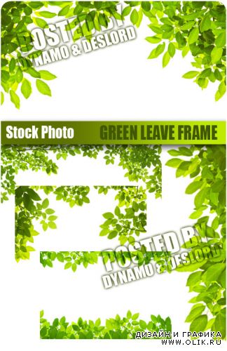Рамки из зеленых листьев - растровый клипарт