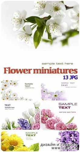 Flower miniatures background (Цветочные миниатюры)