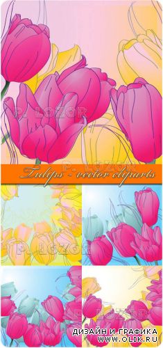 Tulips - vector cliparts