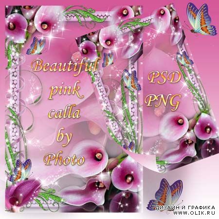 Цветочная рамка - Красивые розовые каллы