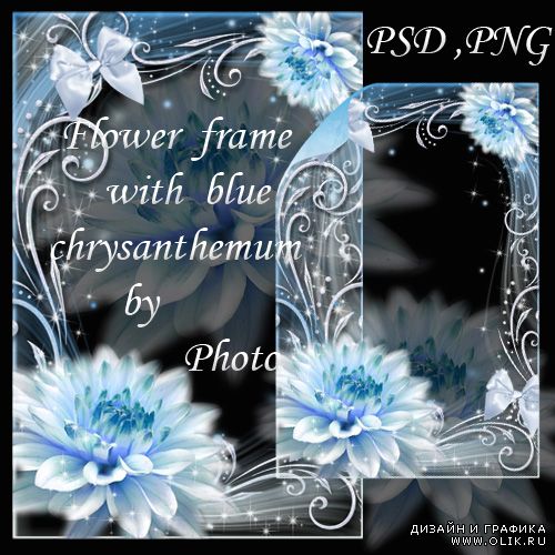 Цветочная рамка - Нежная голубая хризантема