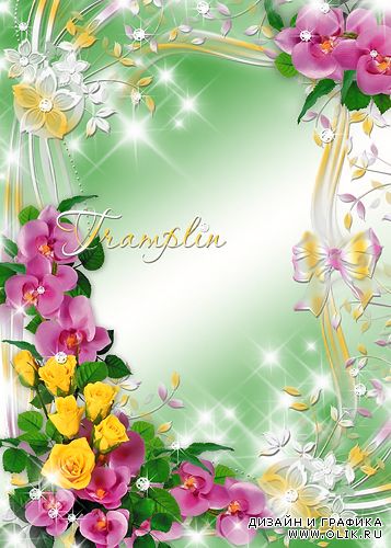 Цветочная Рамка для PHSP – Орхидеи и розы