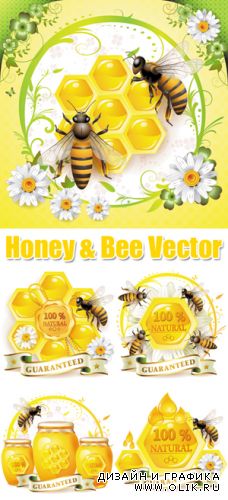 Honey & Bee Vector | Мед, пчелы и соты в векторе