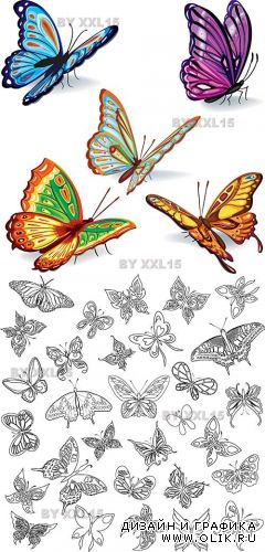 Butterflies vector set