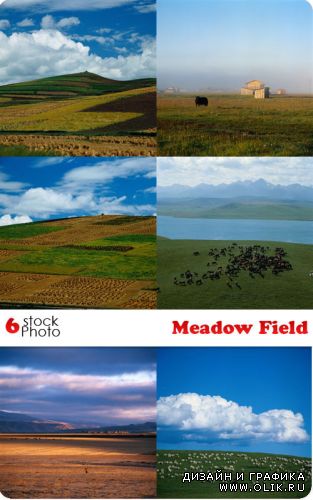 Растровый клипарт - Meadow Field