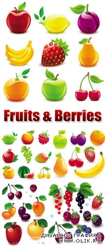 Glossy Fruits & Berries Vector
