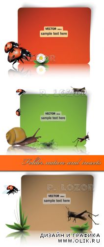 Folder nature and insects