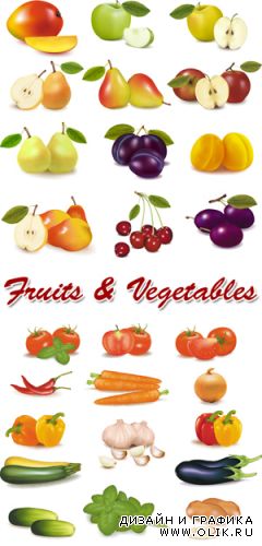 Fruits & Vegetables Vector