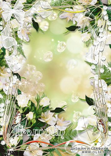 Цветочная рамка для фото – Нежно-белые цветы