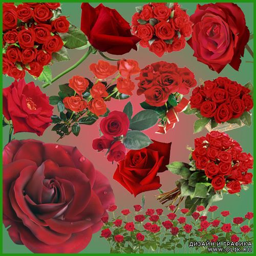 Цветочный скрап - набор "Красные розы"